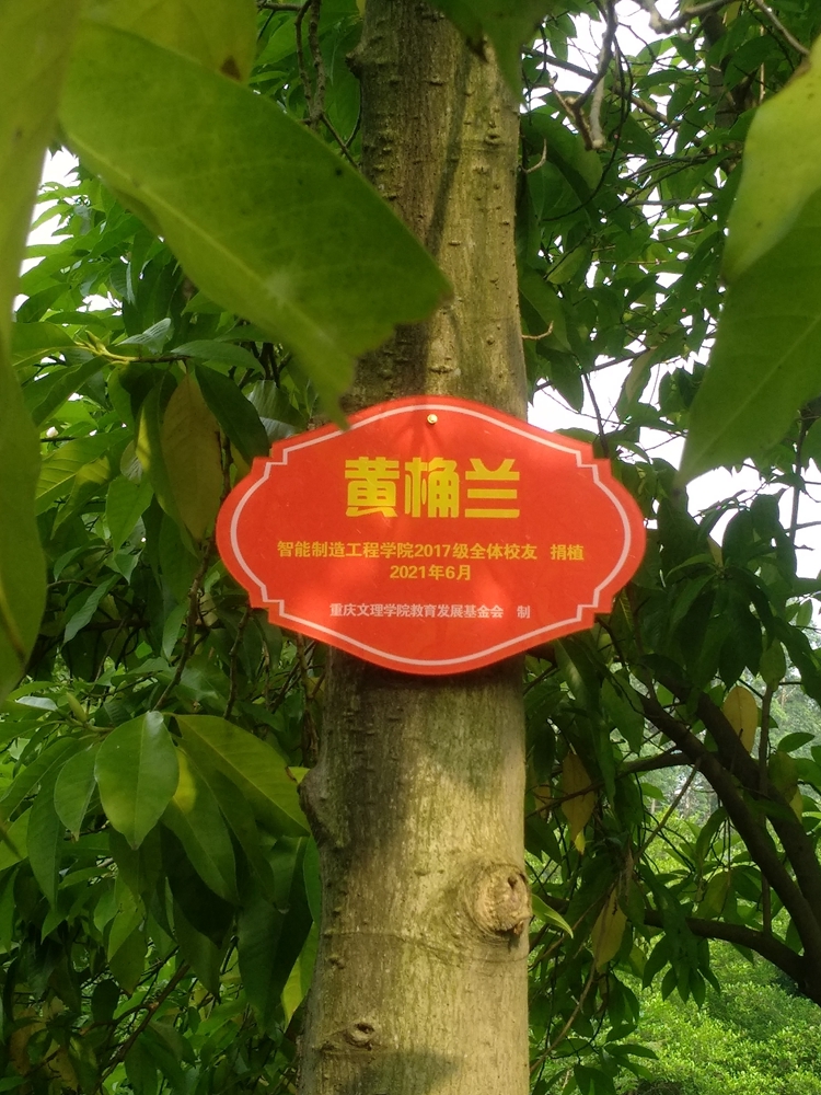 1624199440544001667.jpg 校友树.jpg